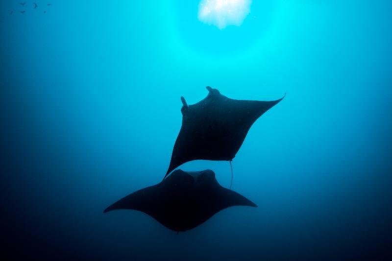 You And Me By Cocoon Maldives Muravandhoo Εξωτερικό φωτογραφία